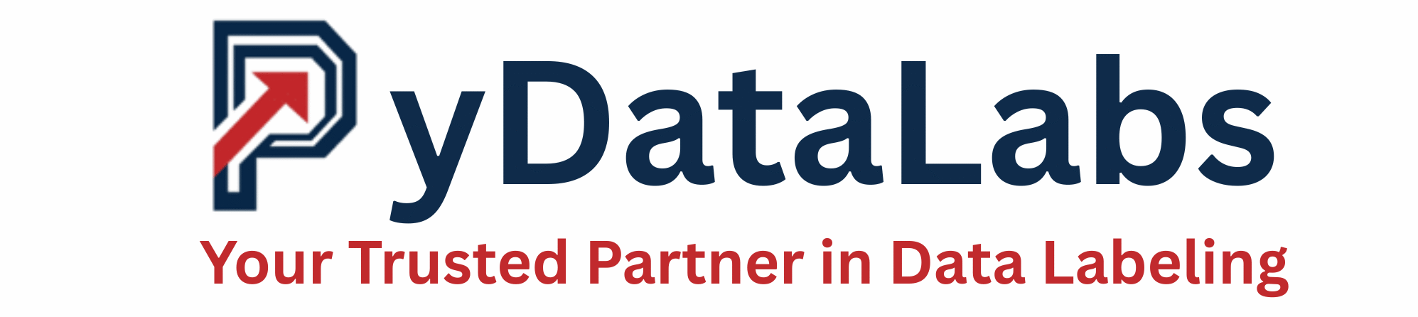  PyDataLabs